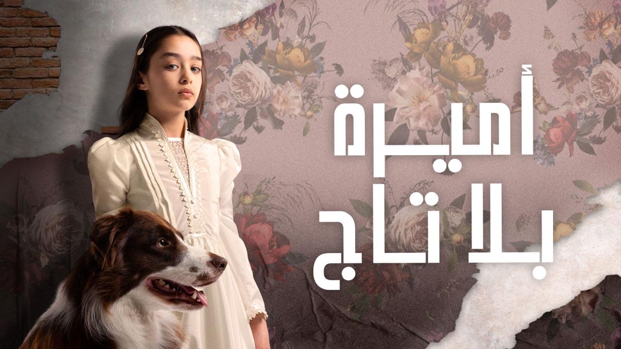 مسلسل اميرة بلا تاج الحلقة 21 مدبلجة HD